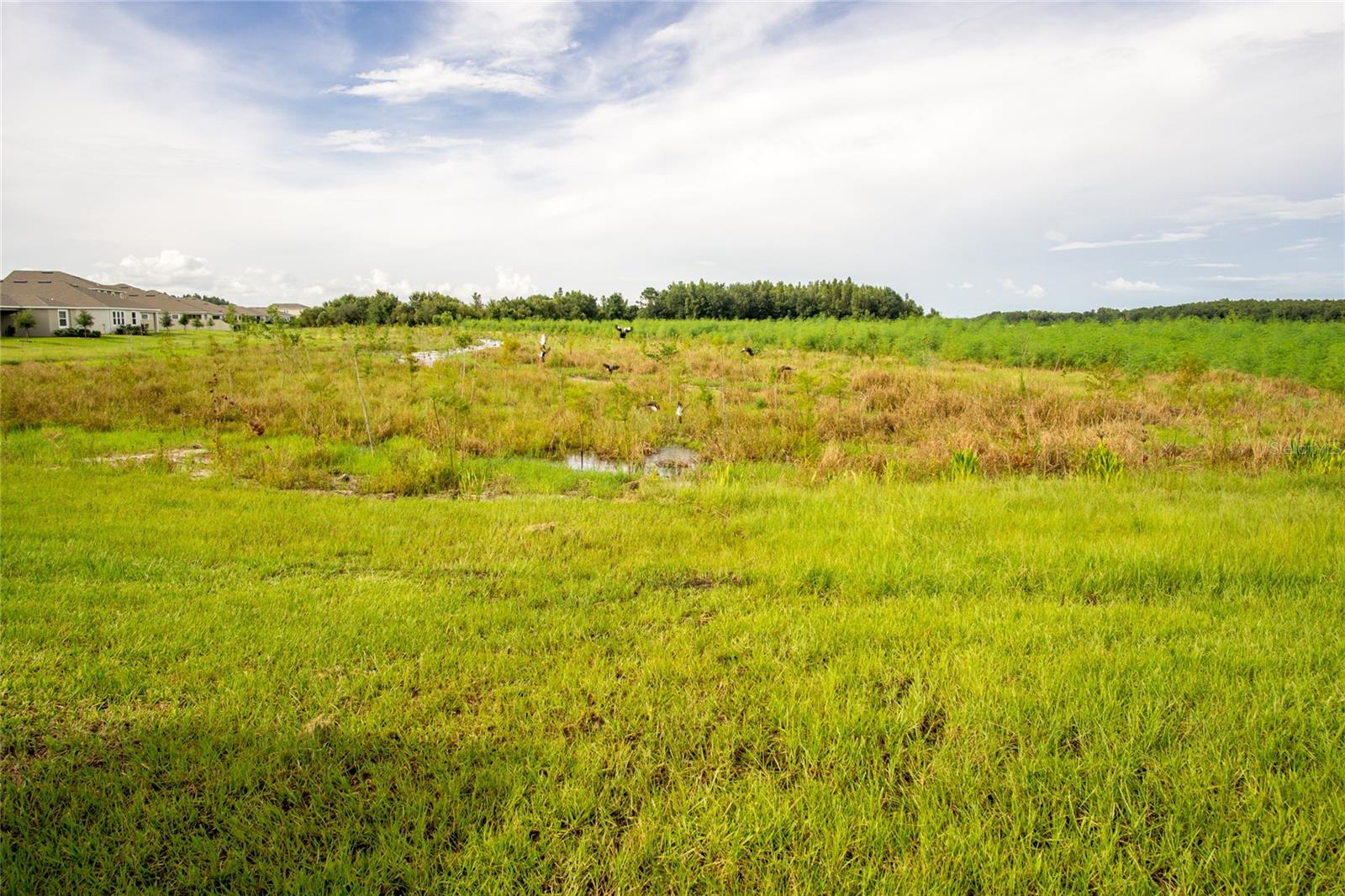 Image 4 of 47 For 1172 Montgomery Bell Road