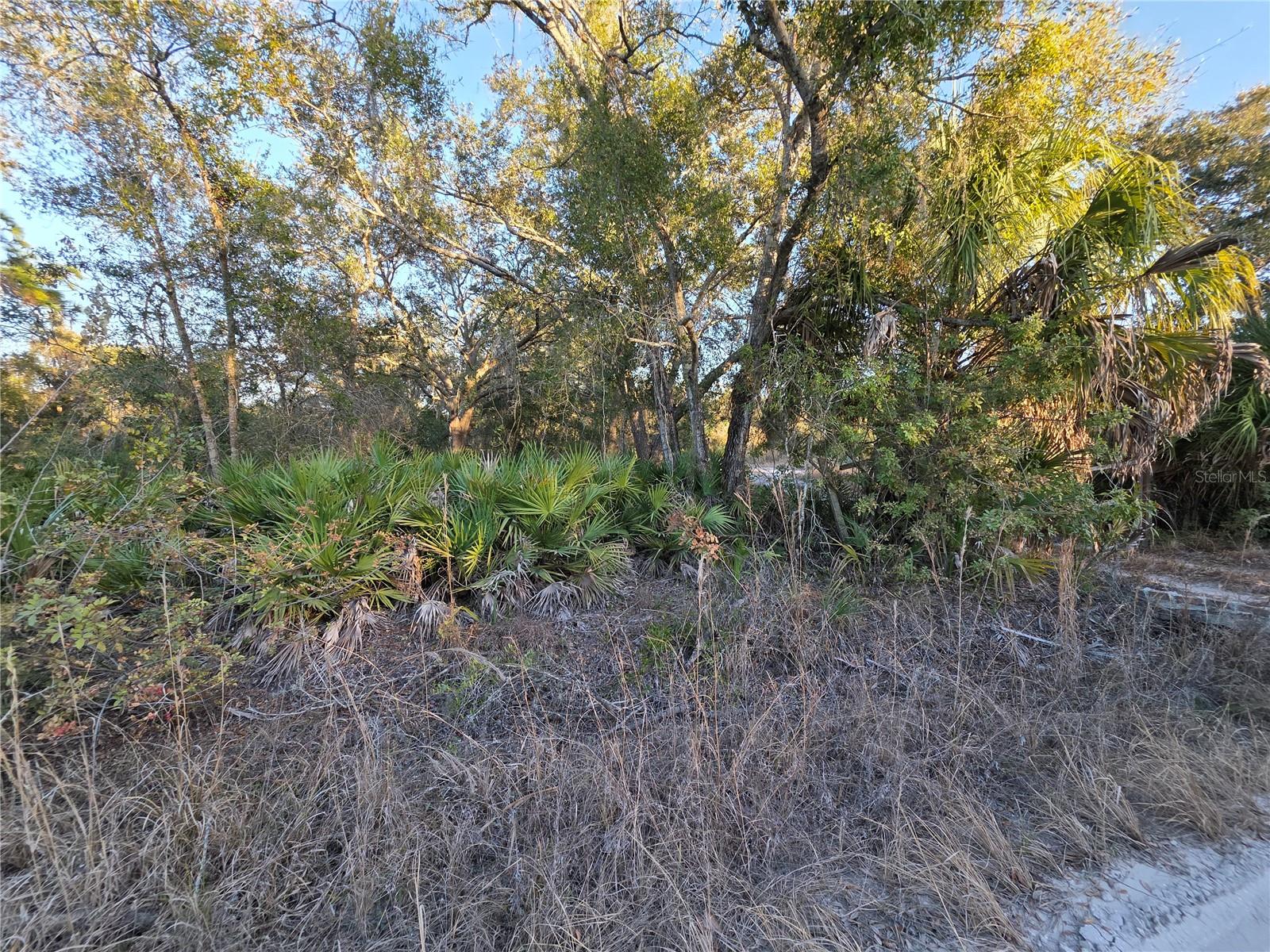 Image 7 of 19 For 14420 Highland Road