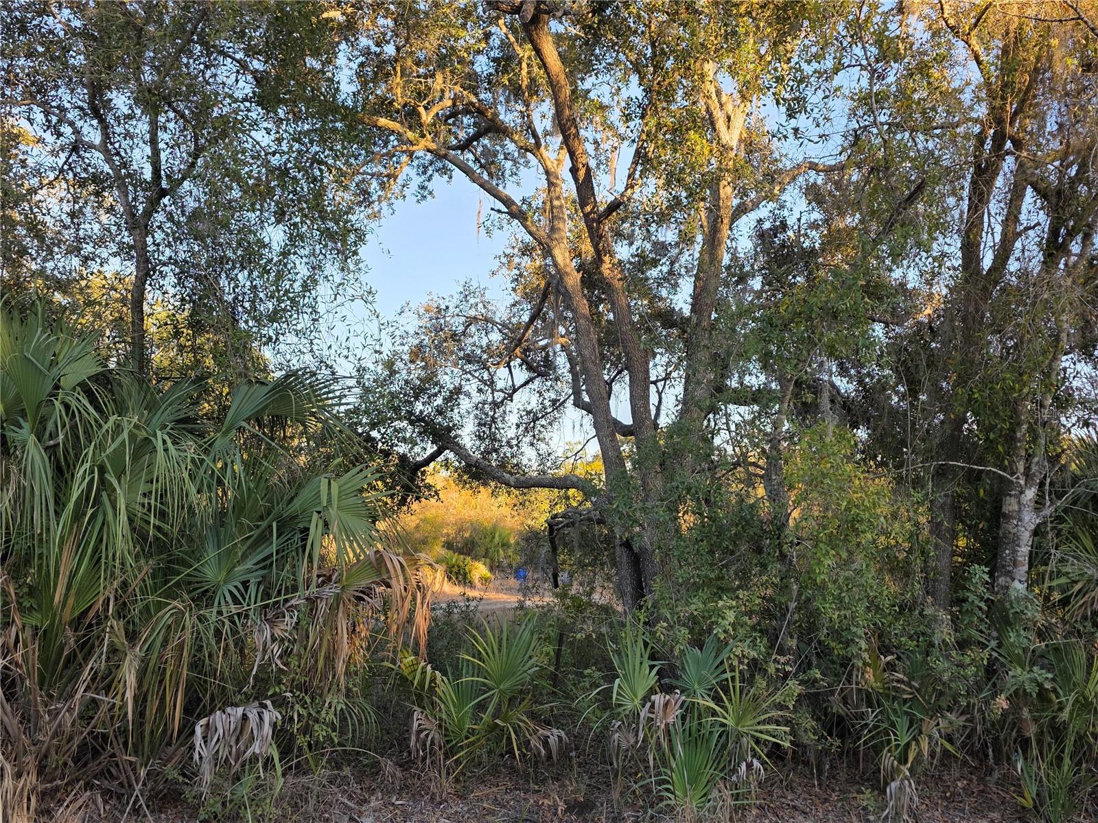 Image 9 of 19 For 14420 Highland Road