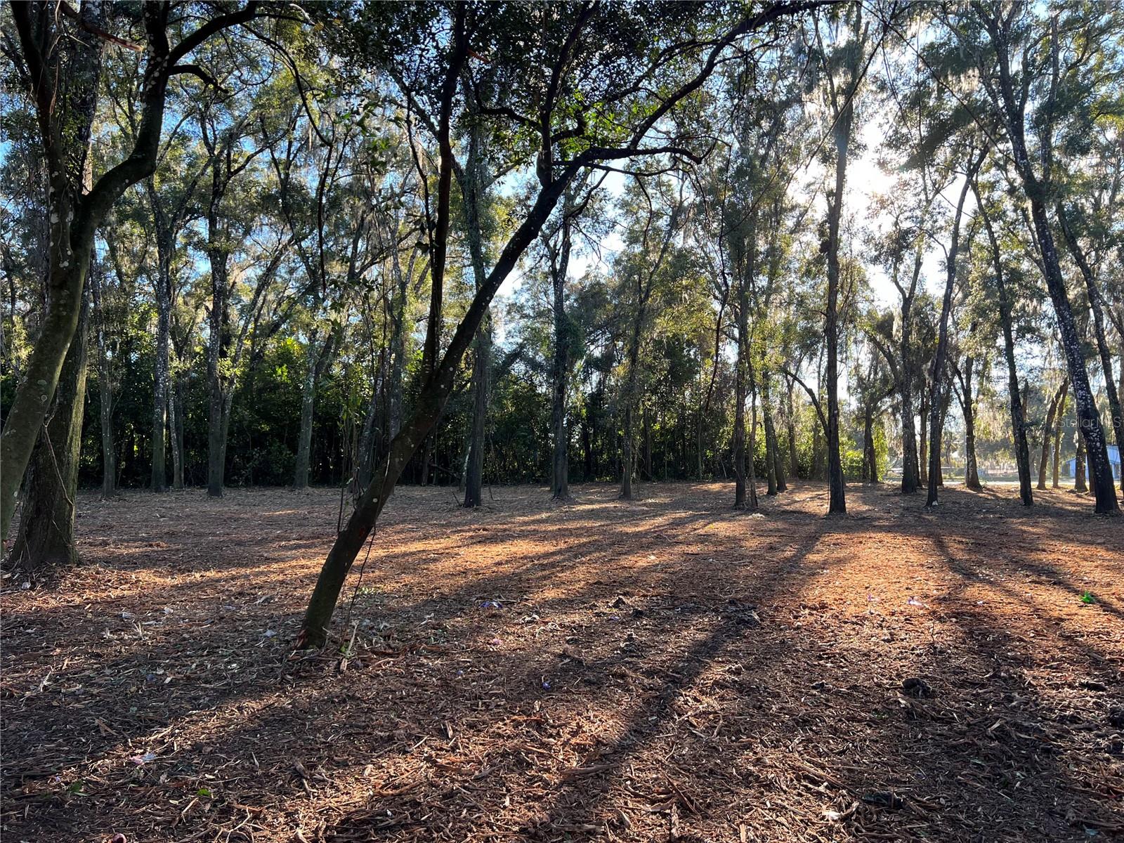 Image 2 of 6 For 18376 Us Hwy 301