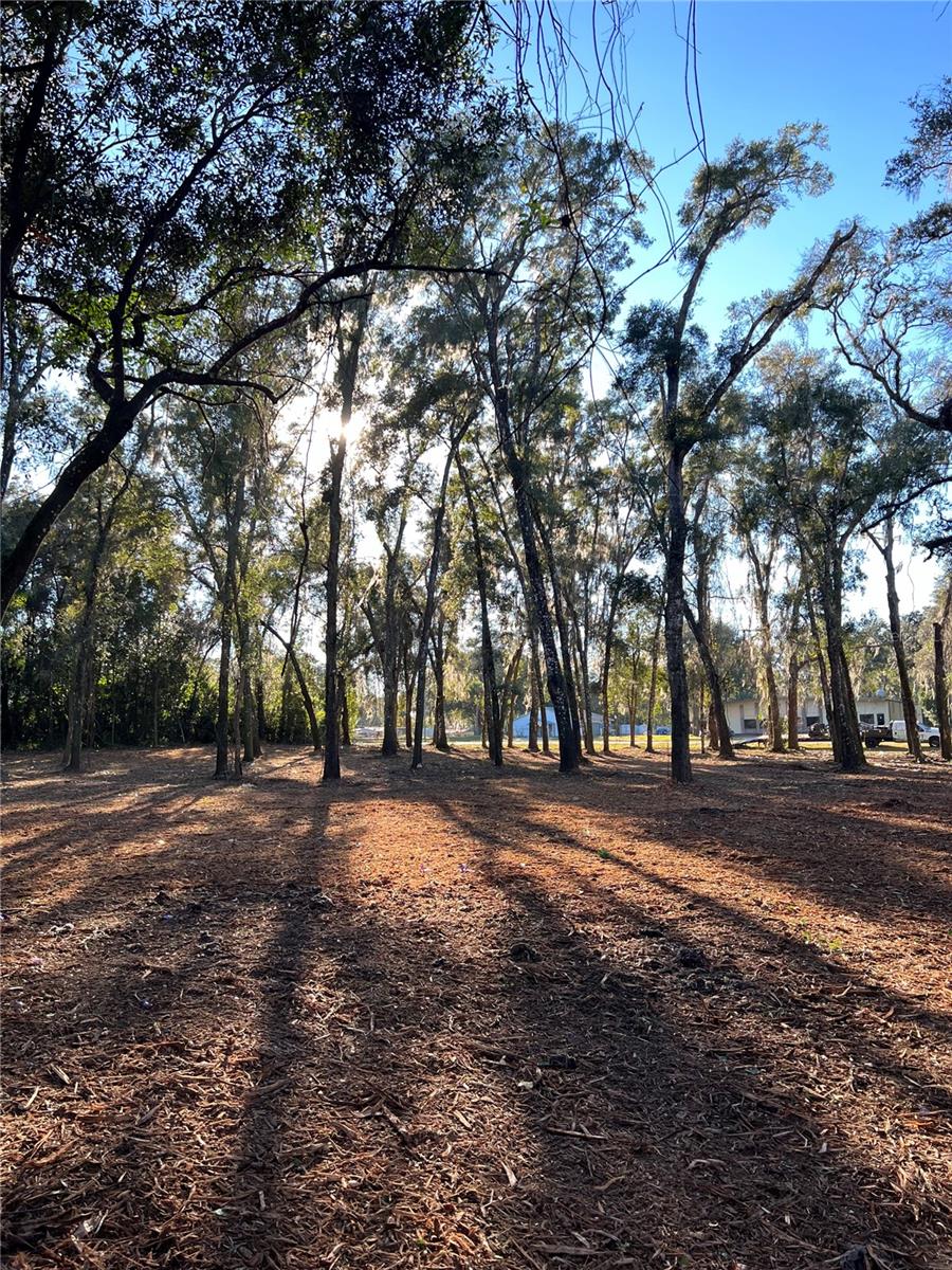 Image 5 of 6 For 18376 Us Hwy 301