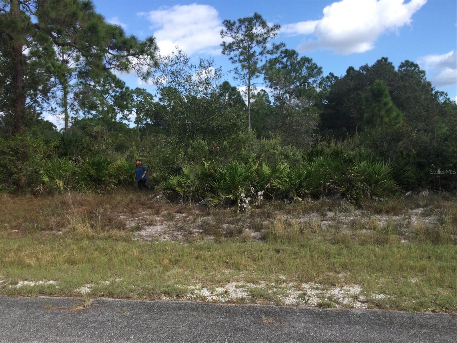 Details for 1604 5th Avenue, LEHIGH ACRES, FL 33972