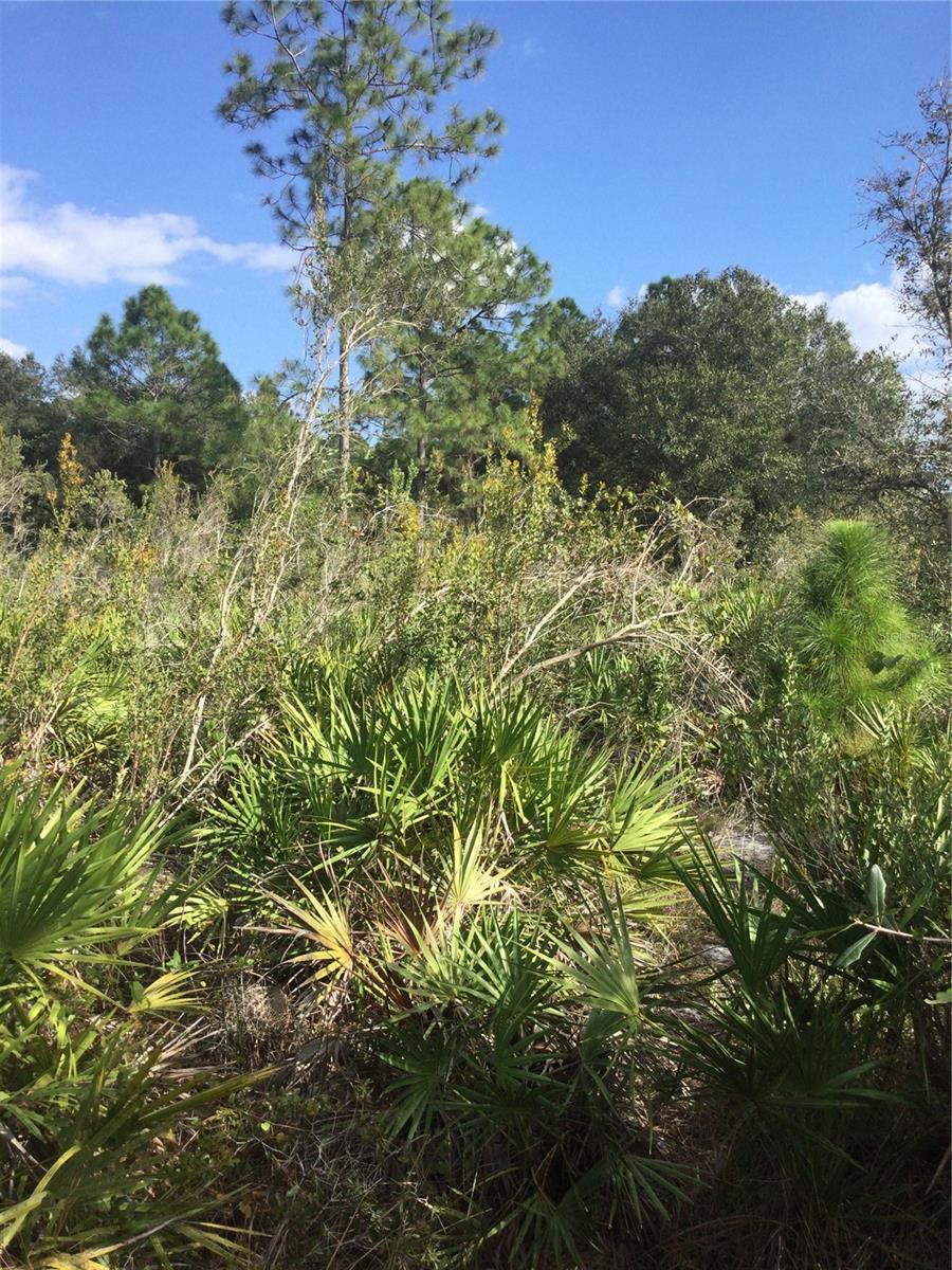 Image 2 of 4 For 1604 5th Avenue