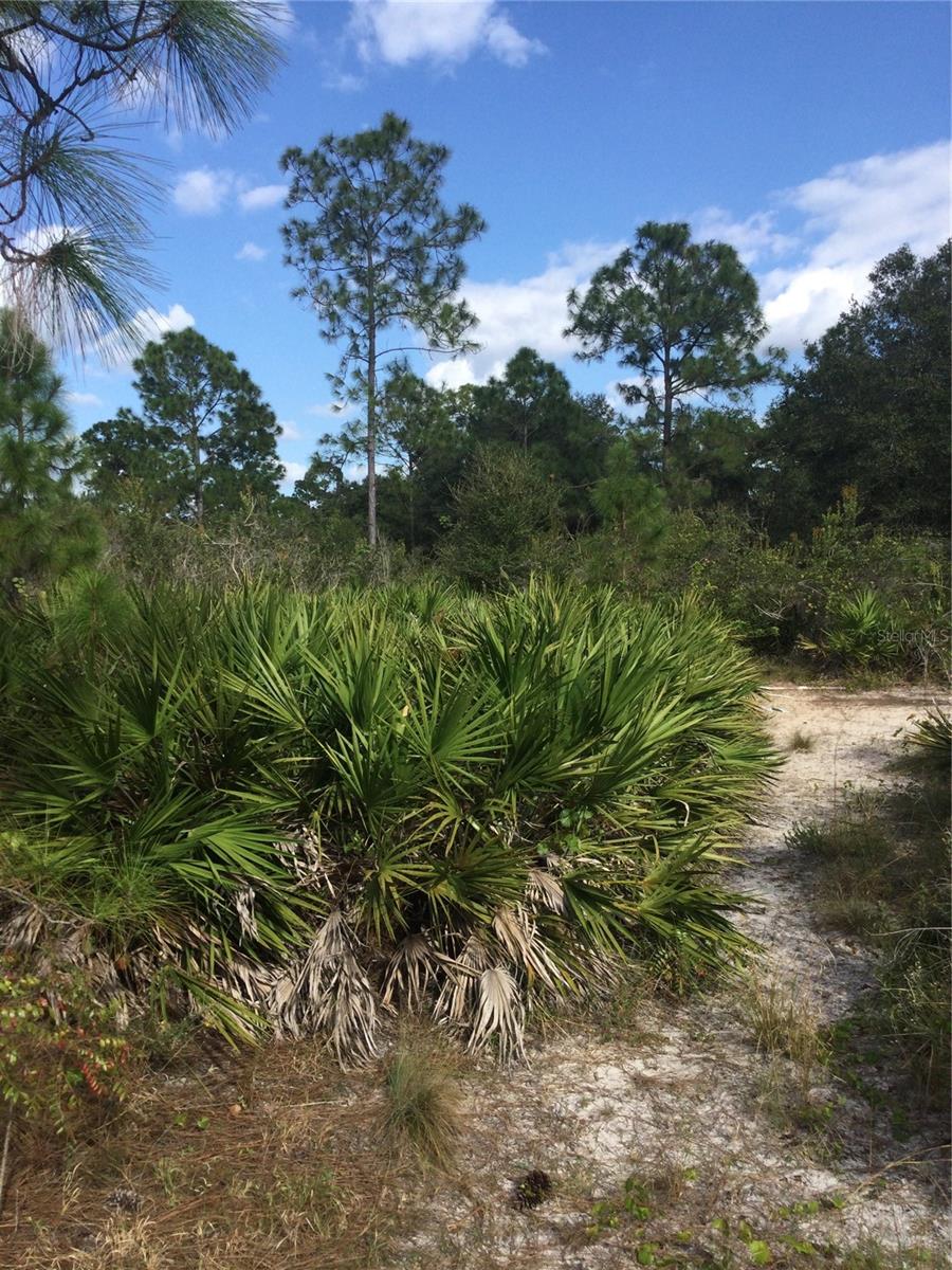 Image 3 of 4 For 1604 5th Avenue