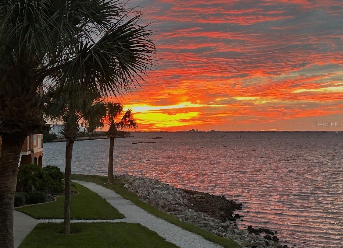 Details for 5000 Culbreath Key Way 9-112, TAMPA, FL 33611