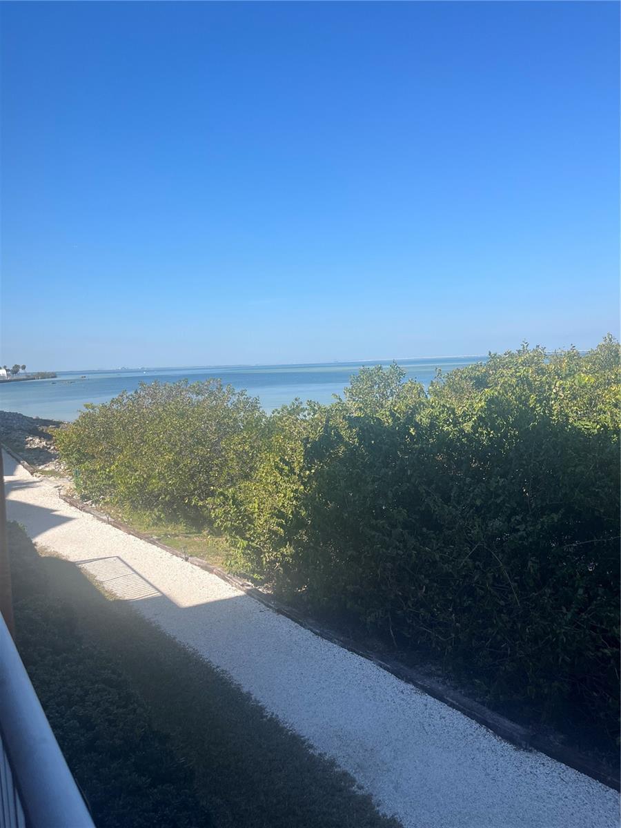 Image 16 of 16 For 5000 Culbreath Key Way 9-112