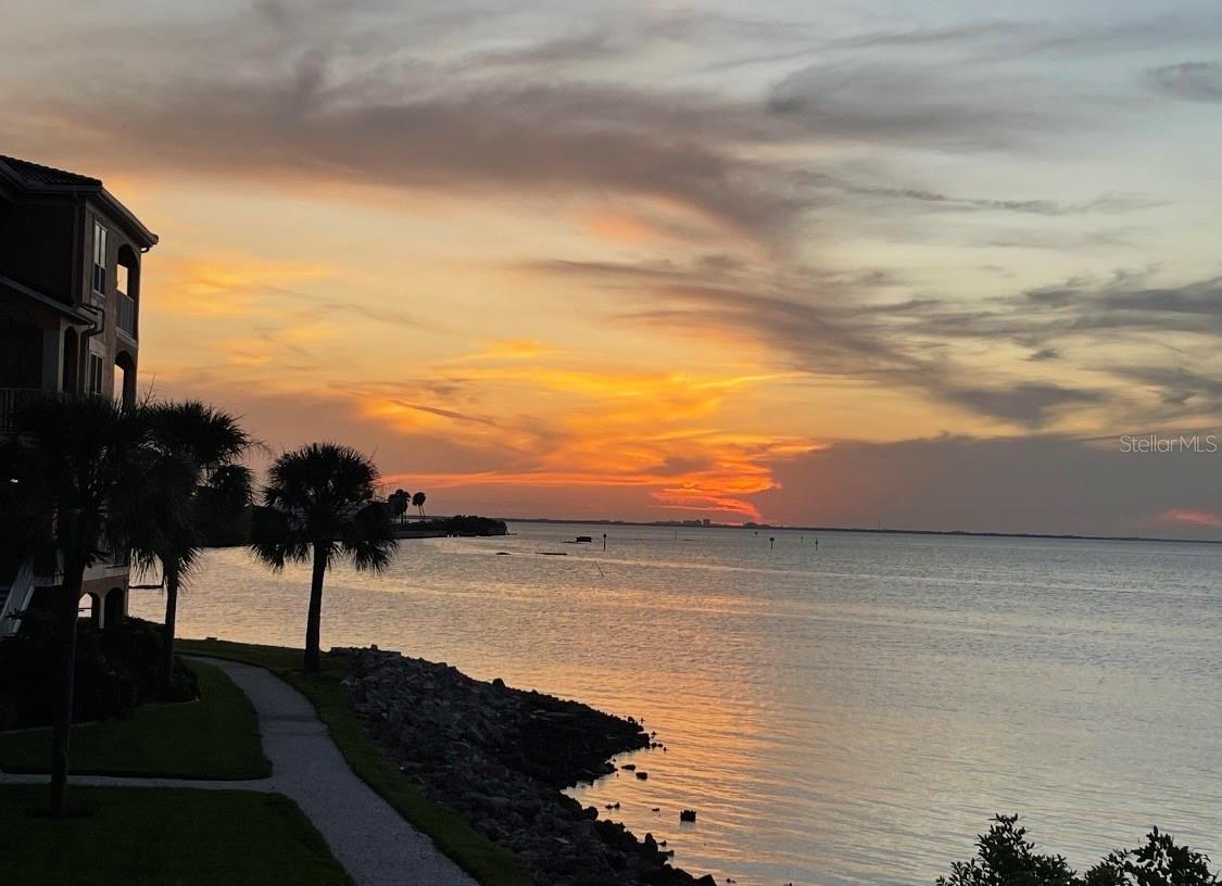 Image 9 of 16 For 5000 Culbreath Key Way 9-112