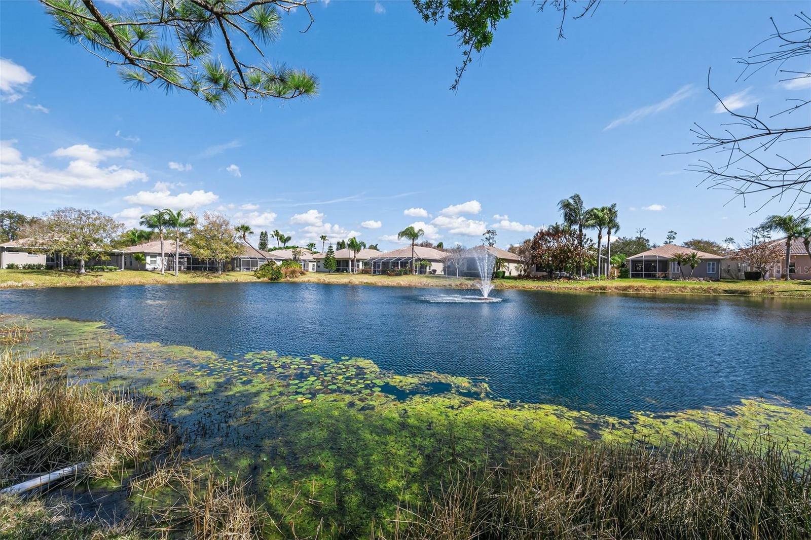 Image 47 of 87 For 1527 Woodstream Drive