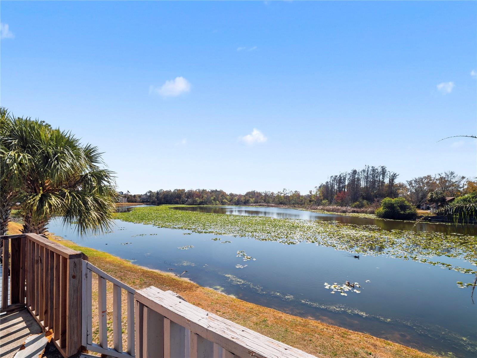 Image 30 of 38 For 4036 Cortez Drive D