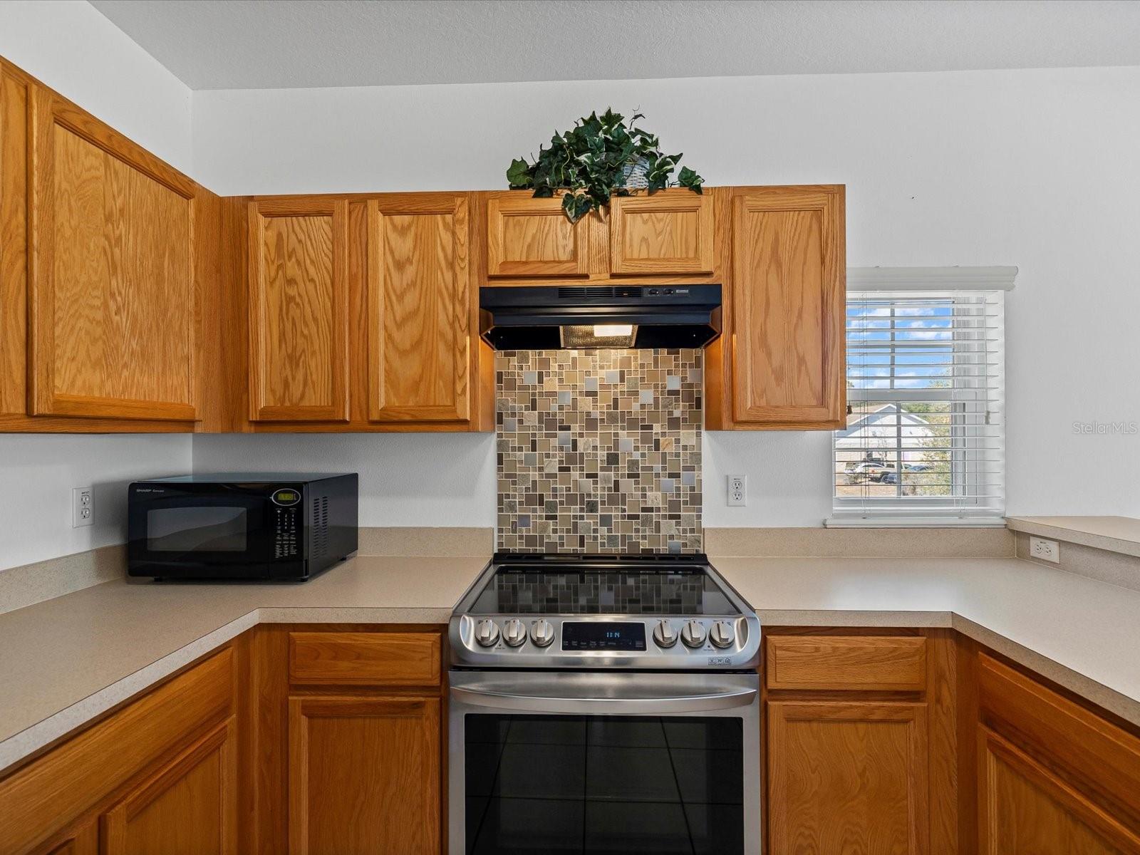 Image 16 of 33 For 321 Summer Clouds Place