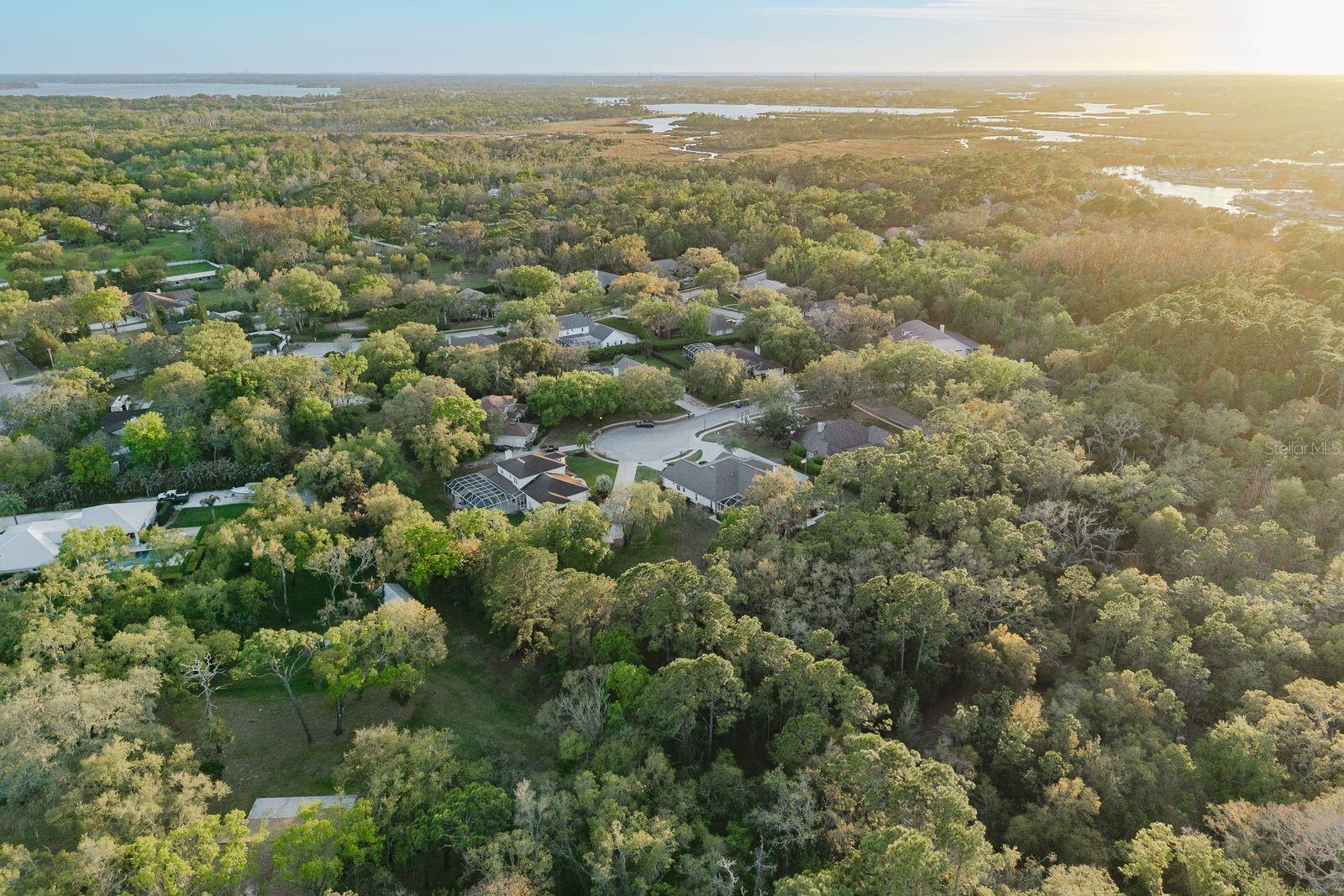 Image 88 of 93 For 6207 Claire De Lune Court