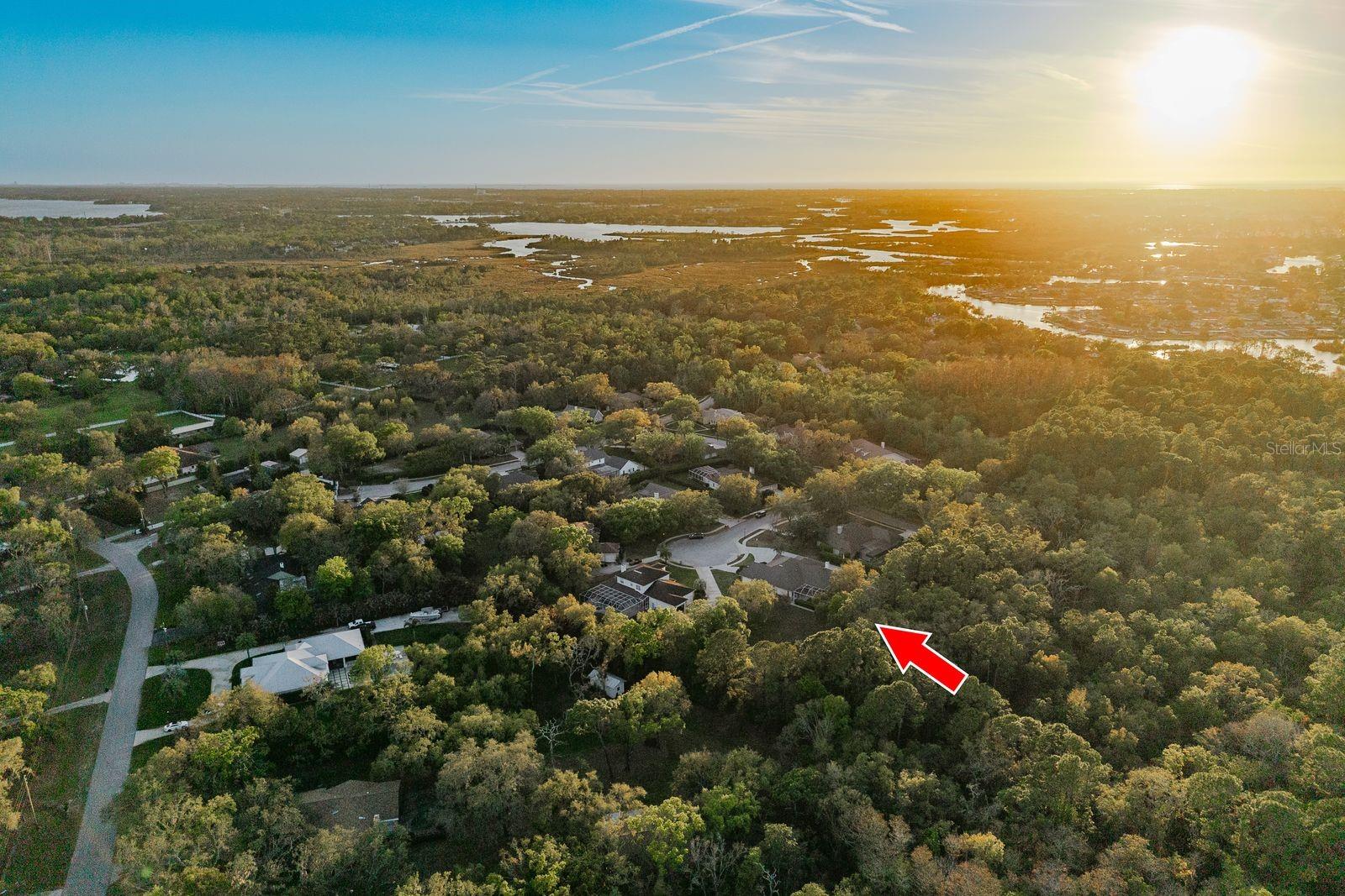 Image 89 of 93 For 6207 Claire De Lune Court