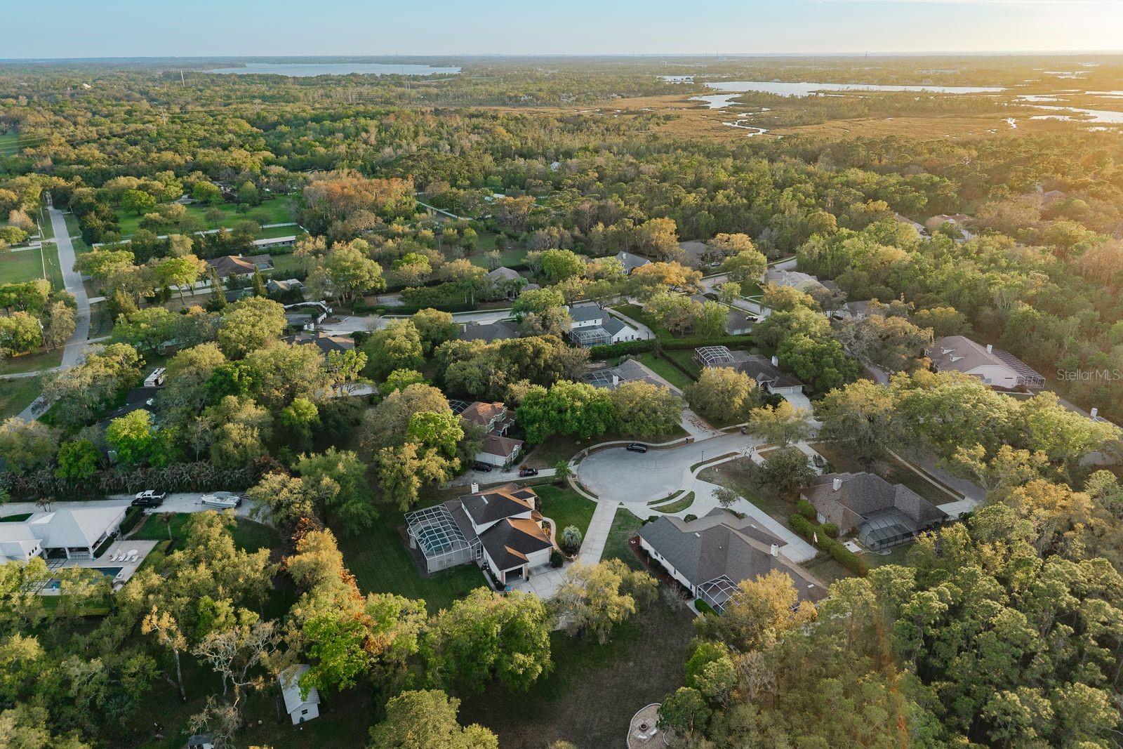 Image 90 of 93 For 6207 Claire De Lune Court