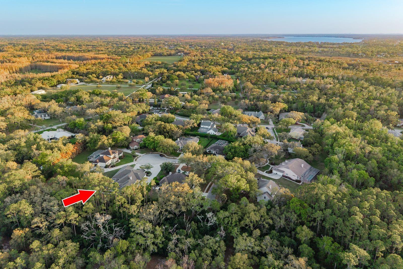 Image 91 of 93 For 6207 Claire De Lune Court