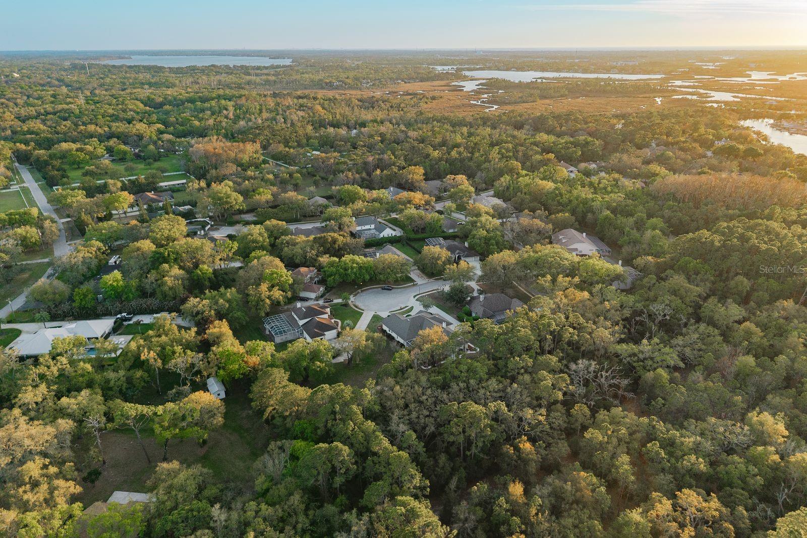 Image 92 of 93 For 6207 Claire De Lune Court