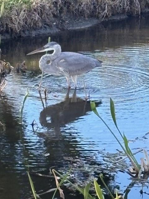 Image 15 of 15 For 9860 62nd Terrace N 1048