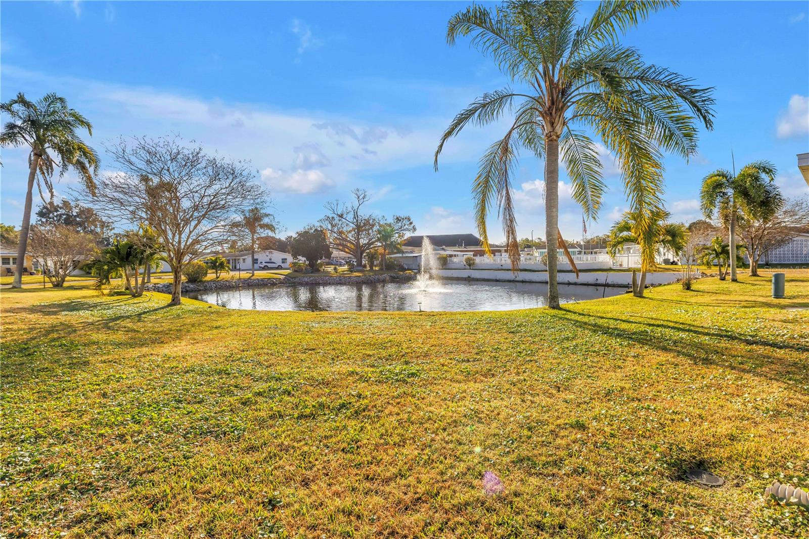 Image 17 of 32 For 10007 Daffodil Street N 183