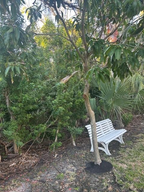 Image 3 of 6 For 13311 72nd Terrace N