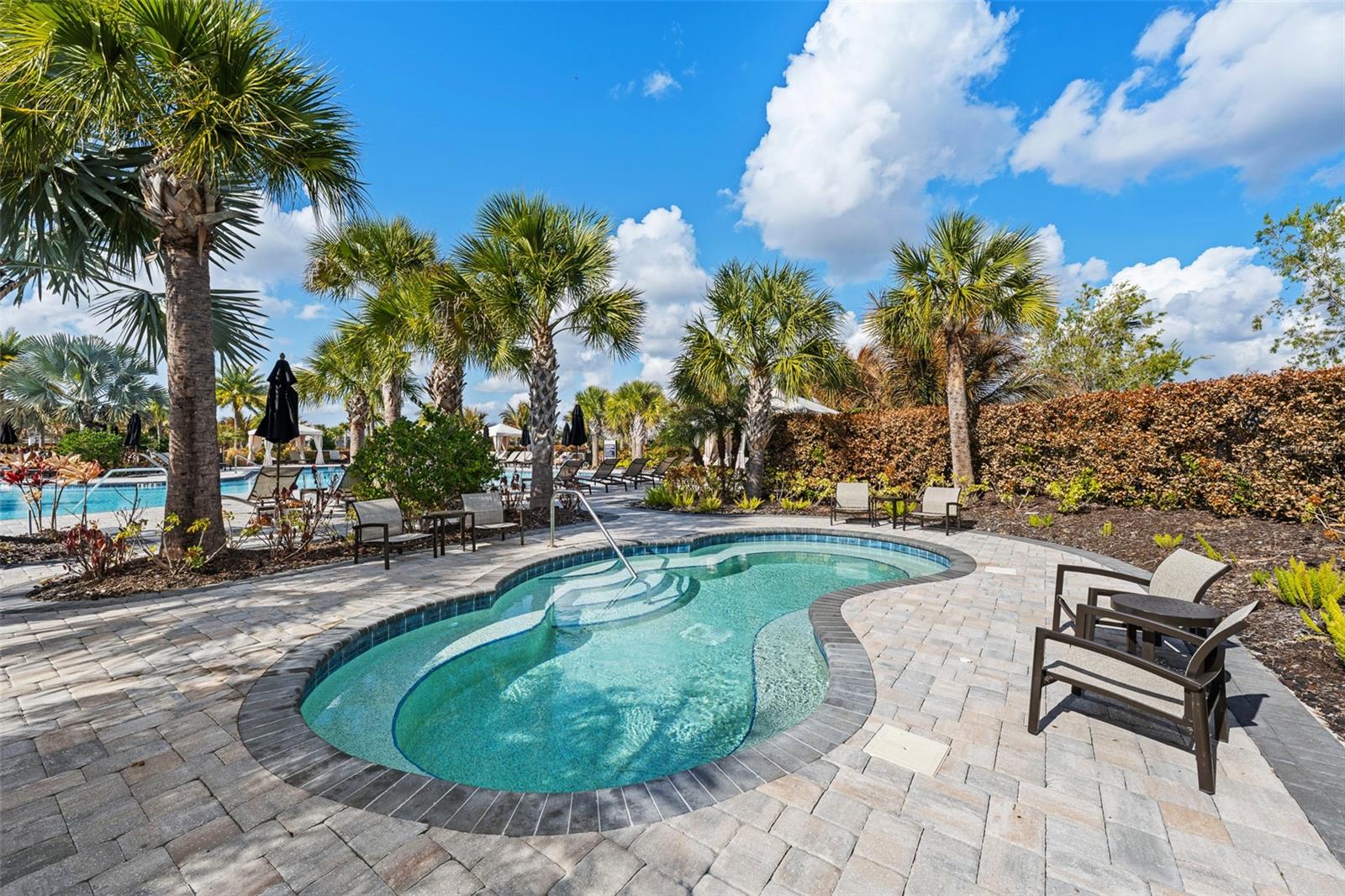 Image 49 of 77 For 29563 Velletri Lane