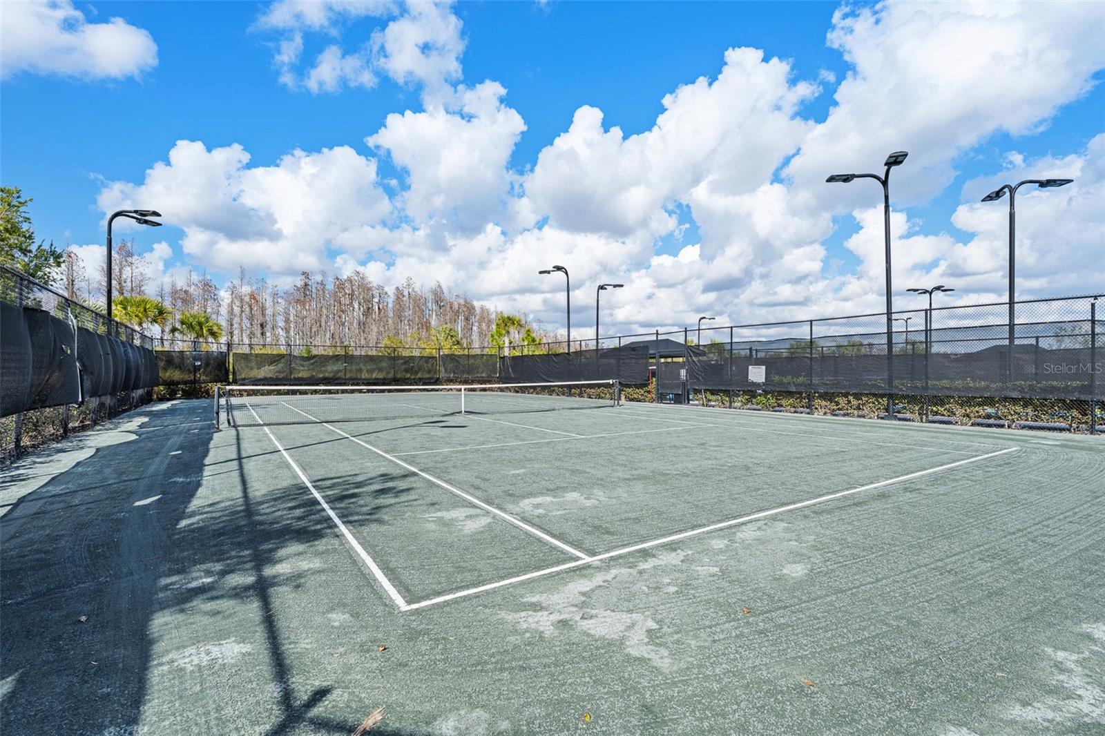 Image 53 of 77 For 29563 Velletri Lane