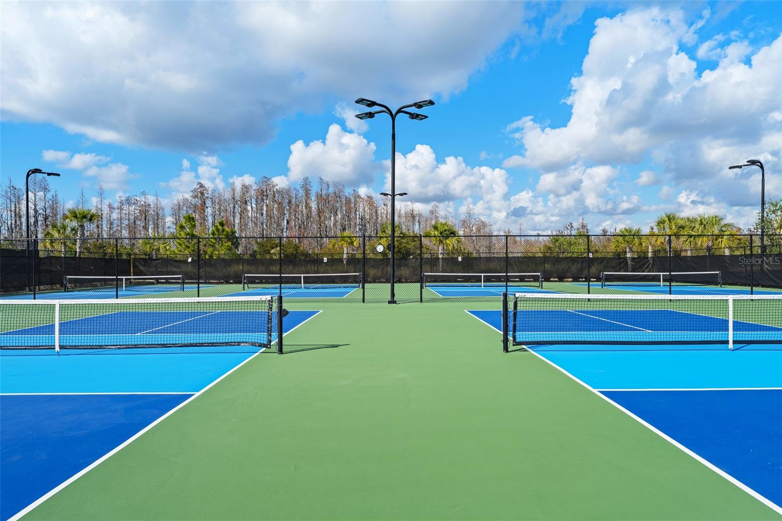 Image 57 of 77 For 29563 Velletri Lane