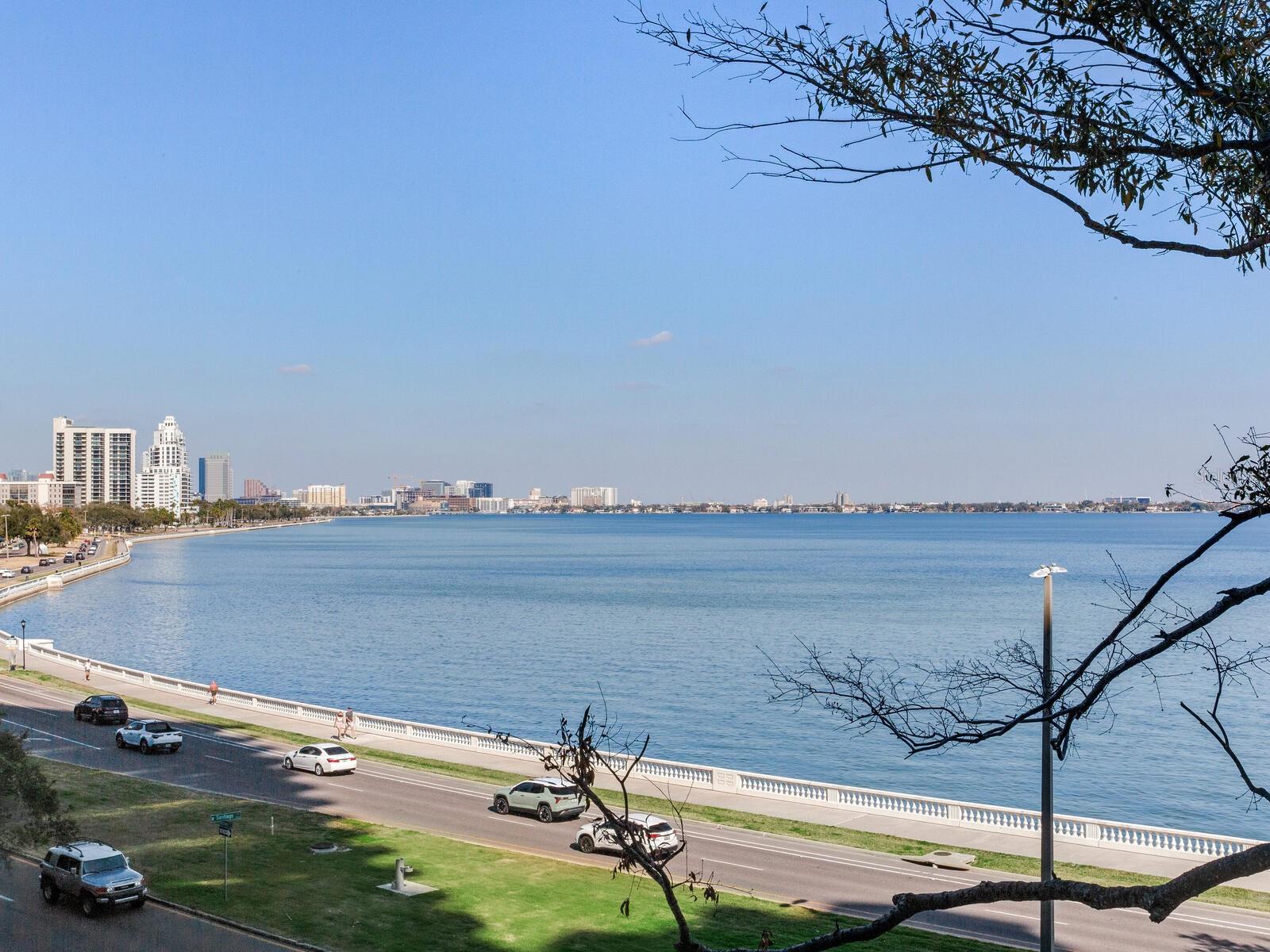 Image 39 of 100 For 3101 Bayshore Boulevard 303