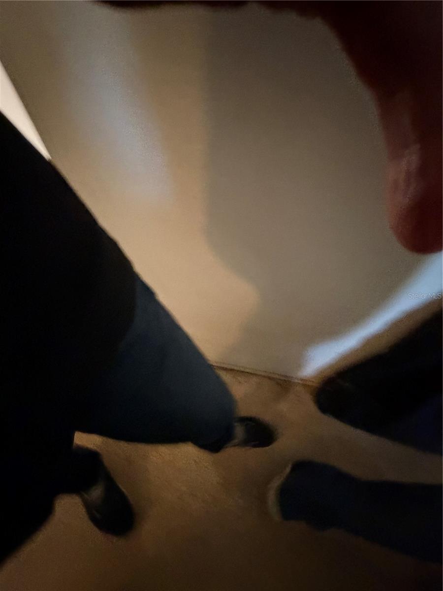 Image 15 of 20 For 10938 91st Avenue