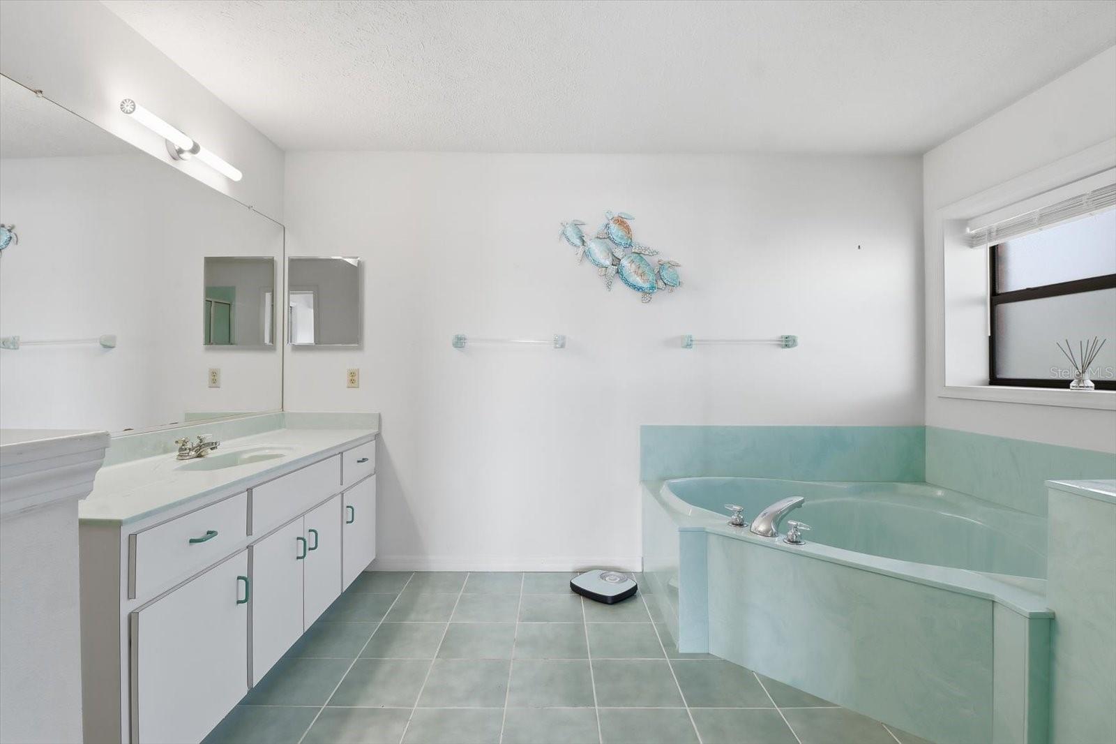 Image 20 of 47 For 8528 Aquarius Drive