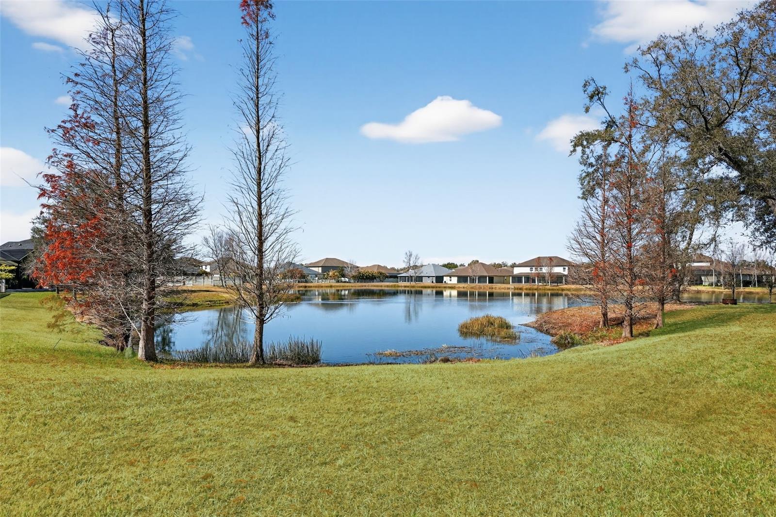 Image 42 of 54 For 5411 Camberwell Lane