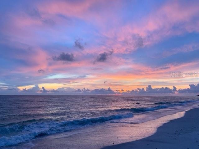 Image 10 of 16 For 600 Jungle Queen Way