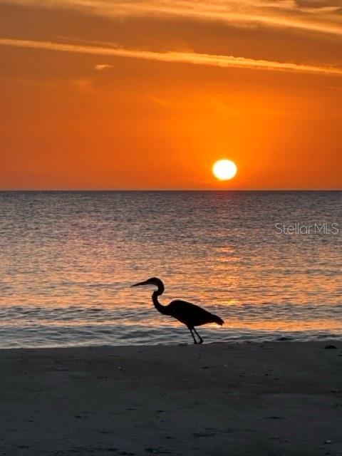 Image 11 of 16 For 600 Jungle Queen Way