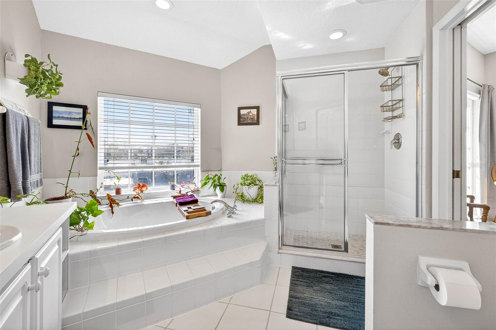 Image 47 of 54 For 238 Columbia Drive