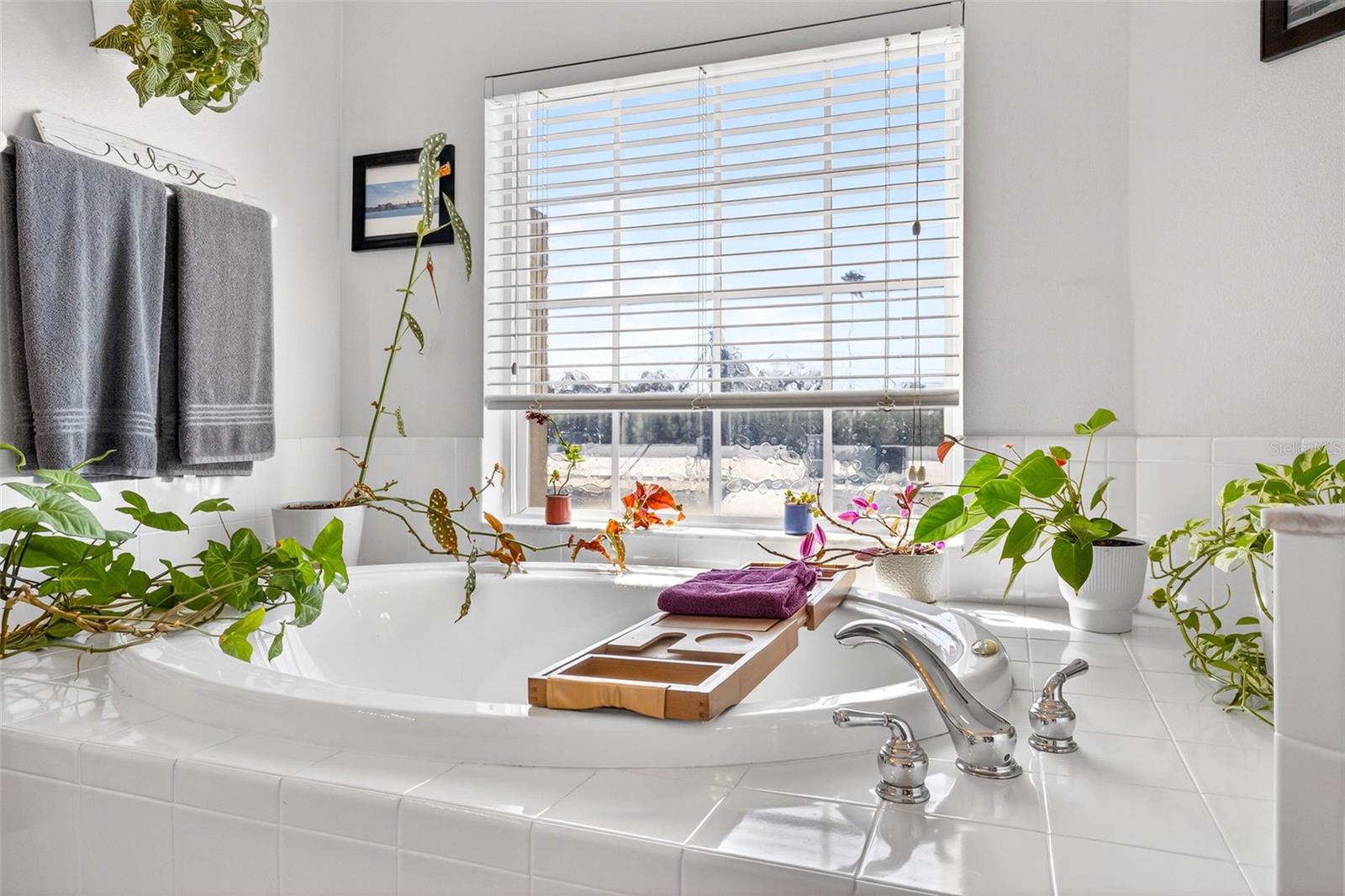 Image 48 of 54 For 238 Columbia Drive