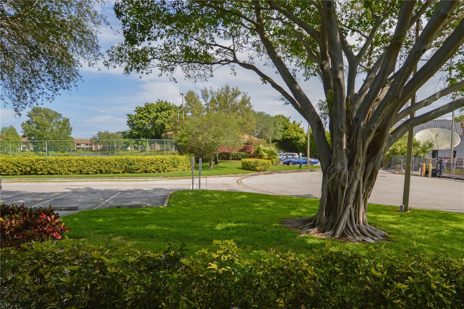 Image 44 of 92 For 10263 Gandy Boulevard N 405