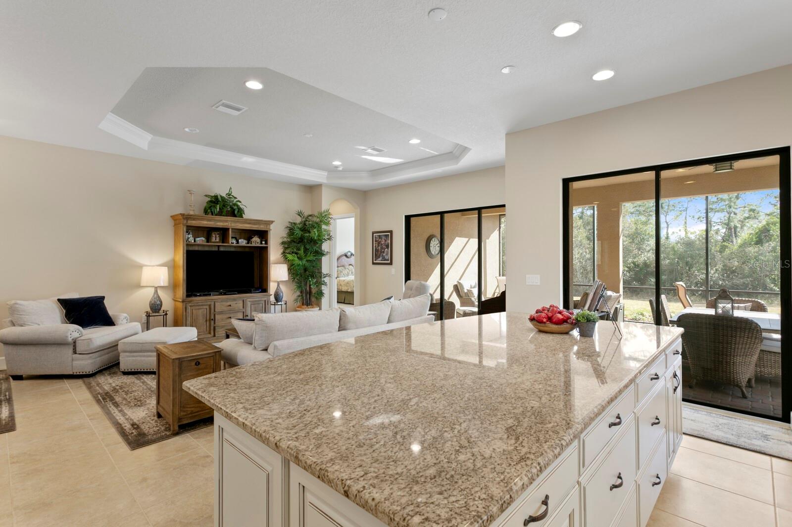 Image 21 of 57 For 8717 Sorano Villa Drive