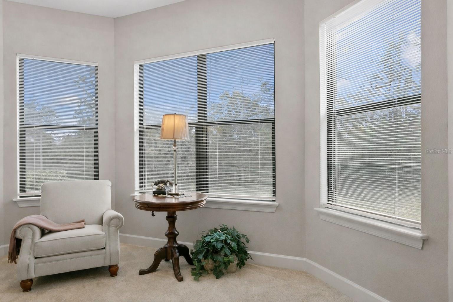 Image 24 of 57 For 8717 Sorano Villa Drive