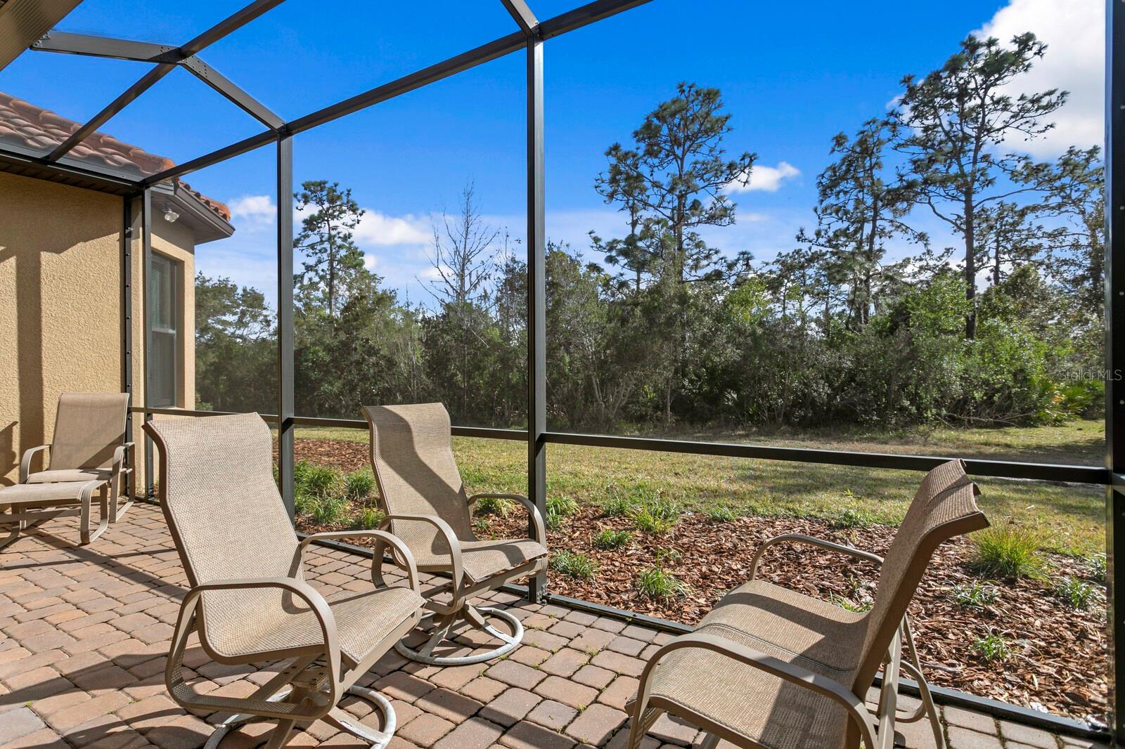 Image 42 of 57 For 8717 Sorano Villa Drive