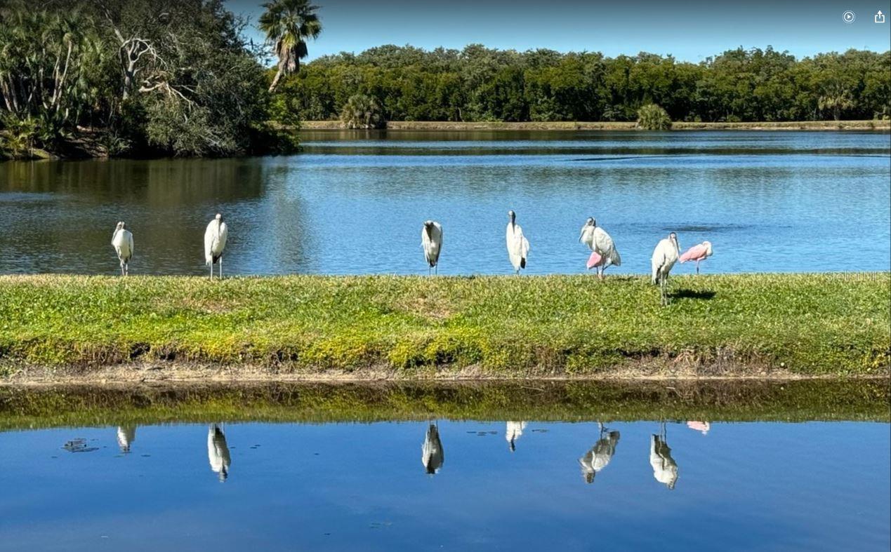 Image 78 of 88 For 6499 99th Way N 18b