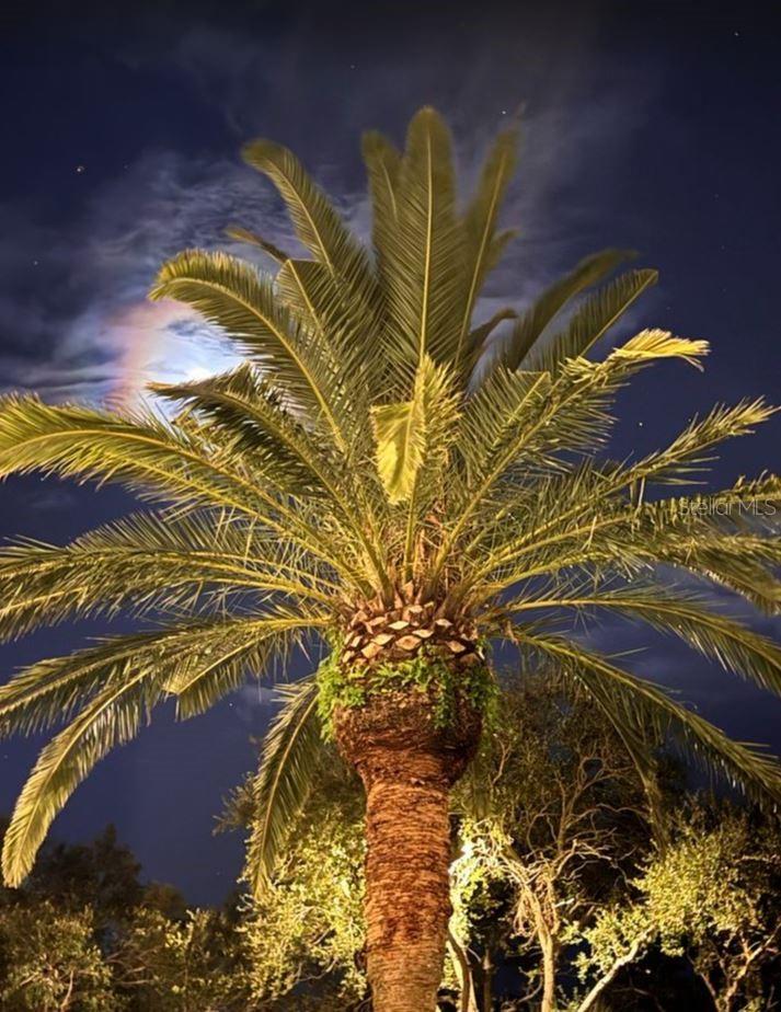 Image 79 of 88 For 6499 99th Way N 18b