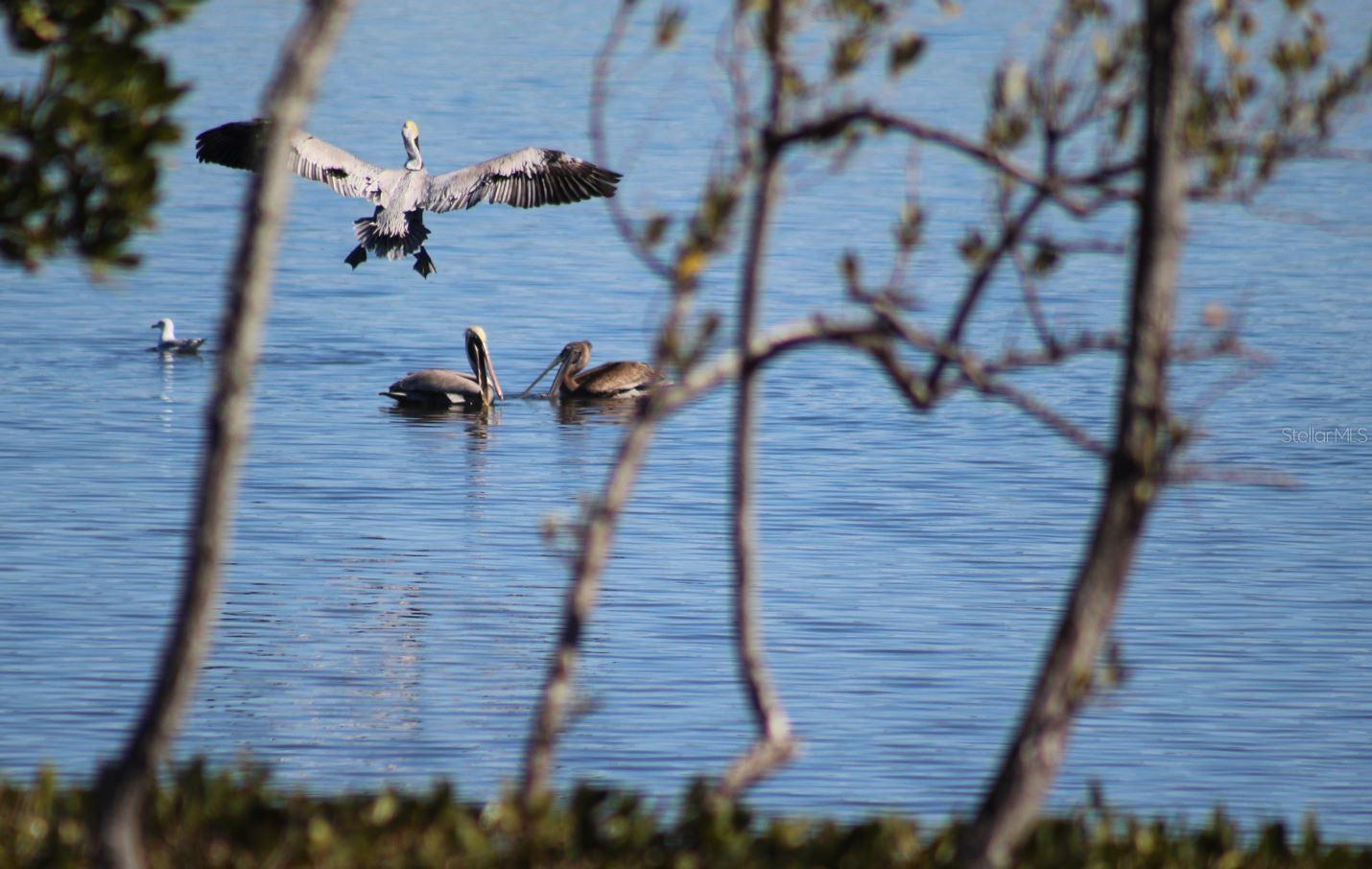 Image 80 of 88 For 6499 99th Way N 18b