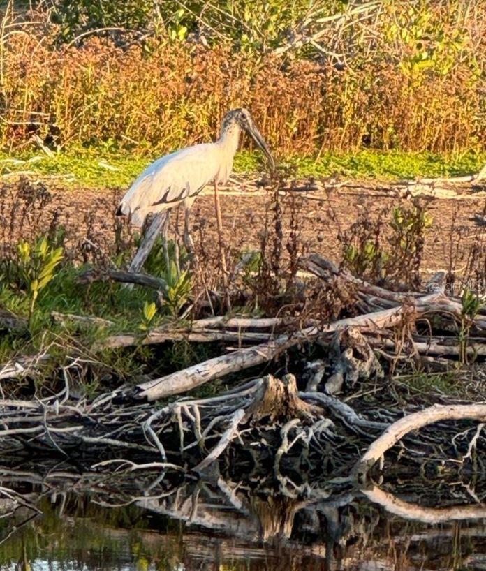 Image 83 of 88 For 6499 99th Way N 18b