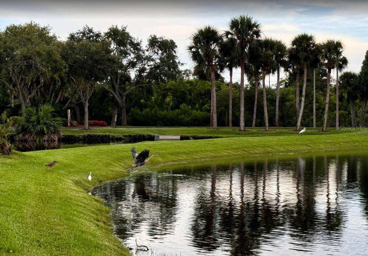 Image 84 of 88 For 6499 99th Way N 18b