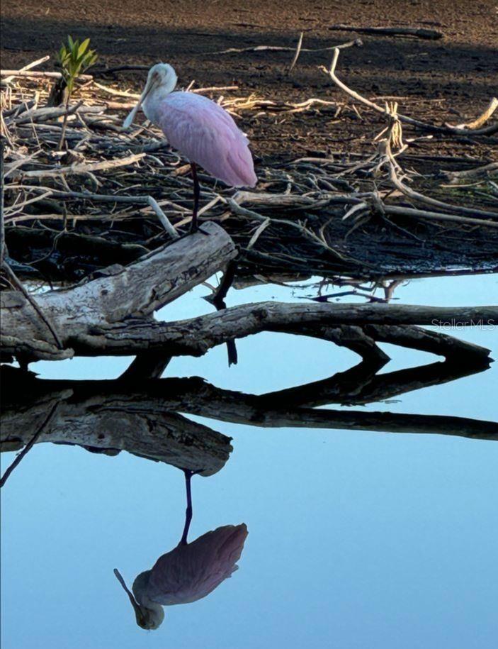 Image 85 of 88 For 6499 99th Way N 18b