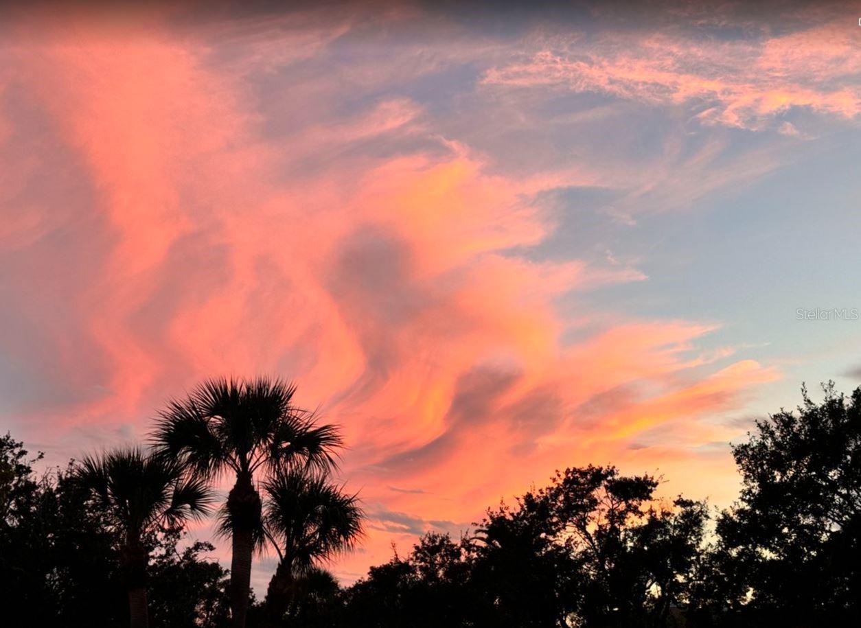 Image 86 of 88 For 6499 99th Way N 18b