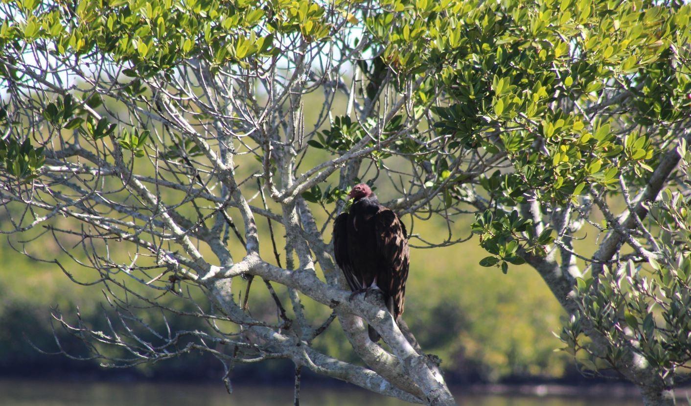 Image 88 of 88 For 6499 99th Way N 18b