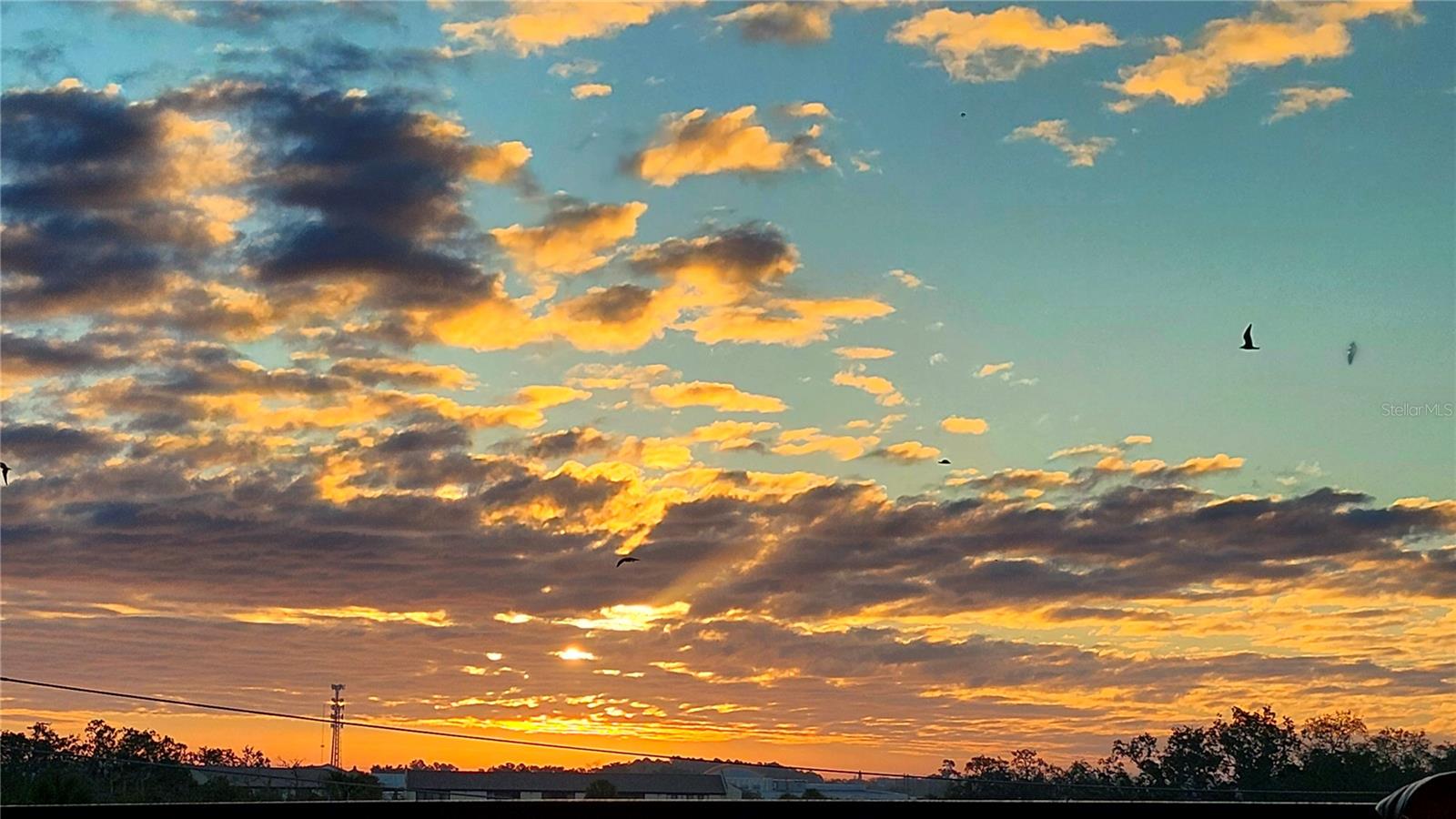 Image 8 of 65 For 5324 Jobeth Drive