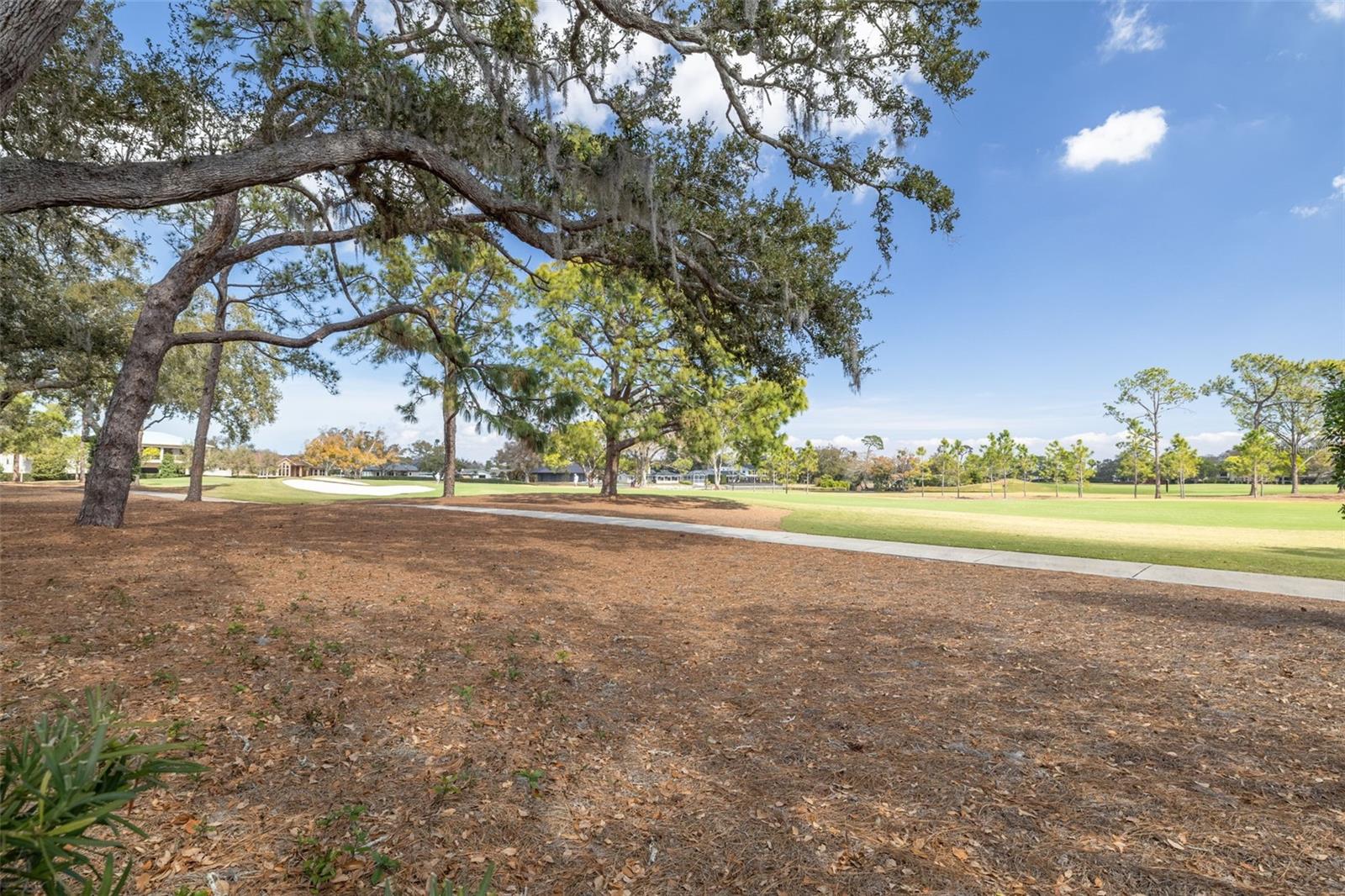 Image 34 of 49 For 634 Poinsettia Road