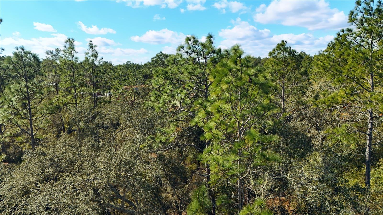 Image 5 of 21 For 1 134th Court