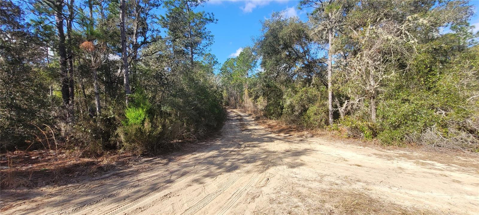 Image 6 of 21 For 1 134th Court