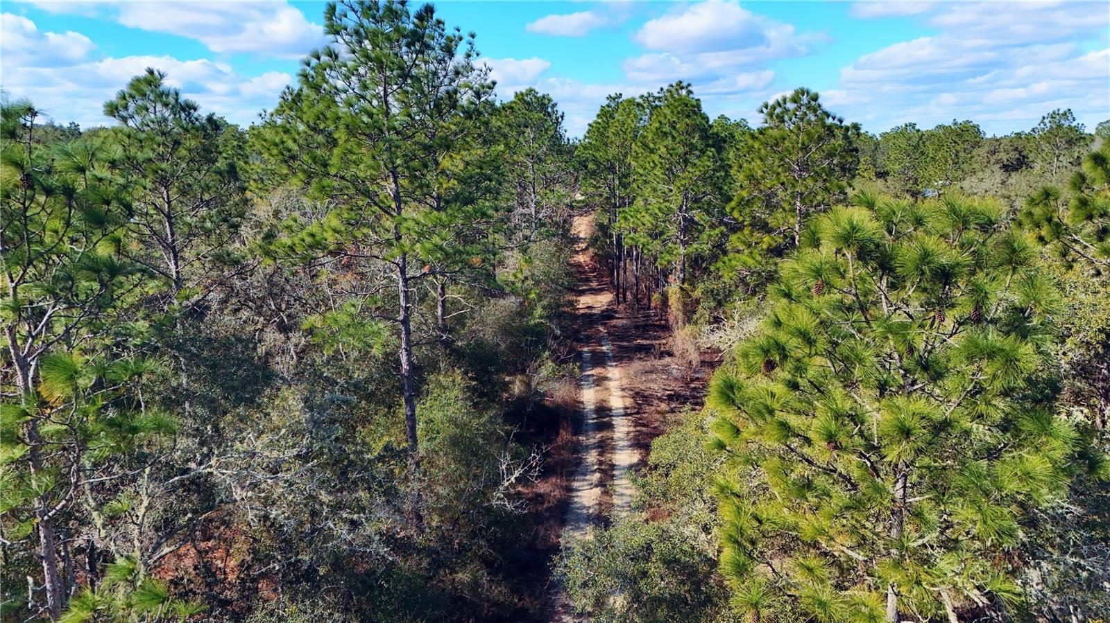 Image 9 of 21 For 1 134th Court